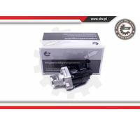 Valvola aria secondaria 14SKV217 ESEN SKV per OPEL SAAB CHEVROLET
