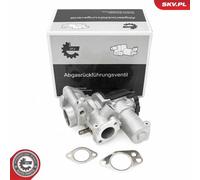 ESEN SKV 14SKV253 Valvola EGR