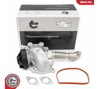 ESEN SKV 14SKV257 Valvola EGR