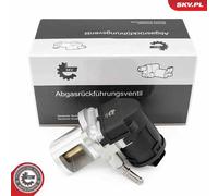 Valvola aria secondaria 14SKV266 ESEN SKV per MERCEDES-BENZ CLASSE E GLS GLE