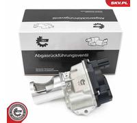 Valvola aria secondaria 14SKV274 ESEN SKV per PORSCHE AUDI VW