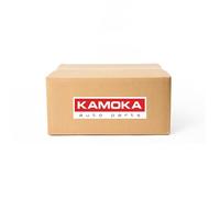 Valvola aria secondaria 19005 KAMOKA per AUDI SEAT SKODA VW RENAULT OPEL MAZDA