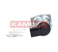 Valvola aria secondaria 19017 KAMOKA per VW SEAT FORD RENAULT SKODA TOYOTA AUDI