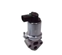 Magneti Marelli 571822112014 Valvola EGR Audi, Seat, Skoda, V