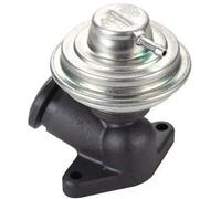 Magneti Marelli 571822112102 Valvola EGR Citroen, Fiat, Lancia