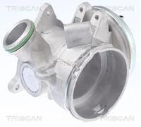 Valvola aria secondaria 8813 23032 TRISCAN per MERCEDES-BENZ CLASSE M