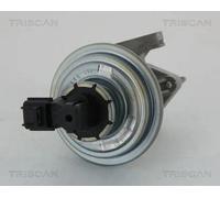 Triscan Valvola aria secondaria 8813 16045 con comando a depressione per Ford Transit/Tourneo