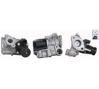 DRI 717730381 Valvola EGR