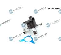 DR.MOTOR AUTOMOTIVE DRM181113 Valvola EGR