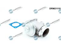 Valvola aria secondaria DRM21110 Dr.Motor Automotive per BMW 3 X5 5 Touring 5 7