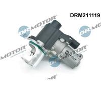 Valvola aria secondaria DRM211119 Dr.Motor Automotive per VW AUDI