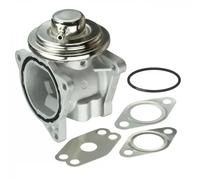 Delphi Valvola EGR EG10421-12B1 per VW Skoda Audi Seat Dodge Jeep senza radiatore