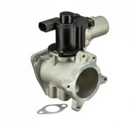 Valvola aria secondaria elettrico EG10446-12B1 DELPHI per VW TOUAREG MULTIVAN T5