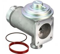 Delphi Valvola EGR EG10466-12B1 compatibile con BMW 1 (E87), 3, 5, X3