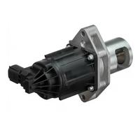 Valvola aria secondaria EG10480-12B1 DELPHI per OPEL ZAFIRA TOURER C INSIGNIA A