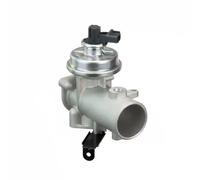 DELPHI EG10492-12B1 Valvola EGR