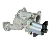 DELPHI EG10497-12B1 Valvola EGR