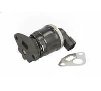 Delphi Valvola EGR EG10505-12B1 aria secondaria senza radiatore per Honda Jazz II