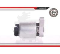 SKV Esen 14skv004 AGR di valvole