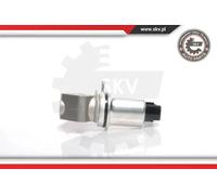 Valvola aria secondaria elettrico 14SKV016 ESEN SKV per SEAT SKODA VW