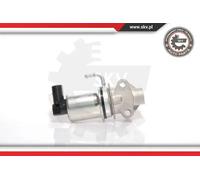 Valvola aria secondaria elettrico 14SKV018 ESEN SKV per AUDI SEAT VW SKODA