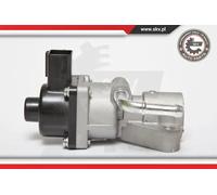 Valvola aria secondaria elettrico 14SKV047 ESEN SKV per FORD MAZDA VOLVO