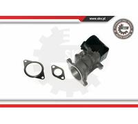 Valvola aria secondaria elettrico 14SKV057 ESEN SKV per FORD VOLVO PEUGEOT FIAT