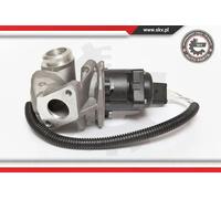 Valvola aria secondaria elettrico 14SKV067 ESEN SKV per VOLVO FORD