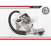 Valvola aria secondaria elettrico 14SKV071 ESEN SKV per FORD VOLVO