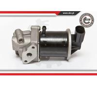 Valvola aria secondaria elettrico 14SKV074 ESEN SKV per SEAT VW