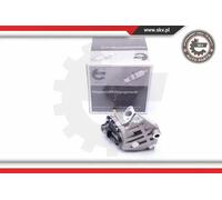 Valvola aria secondaria elettrico 14SKV087 ESEN SKV per SKODA VW SEAT AUDI