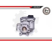 Valvola aria secondaria elettrico 14SKV102 ESEN SKV per NISSAN RENAULT