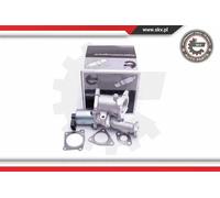 ESEN SKV Valvola EGR