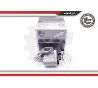 Valvola aria secondaria elettrico 14SKV168 ESEN SKV per RENAULT SUZUKI