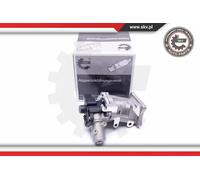 Valvola aria secondaria elettrico 14SKV171 ESEN SKV per LANCIA FORD LAND ROVER