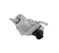 ESEN SKV 14SKV319 Valvola EGR