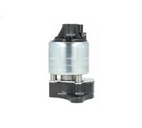 Valvola EGR NRF 48671