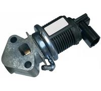 ERA 555047A Valvola EGR con guarnizioni per VW Golf IV Schrägheck (1J1)