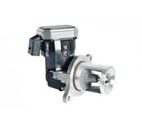 ERA 555252 Valvola EGR