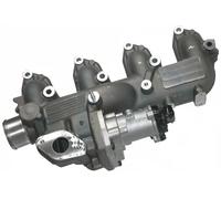 ERA Valvola aria secondaria elettrica 555306 per Ford Transit Connect / Focus II