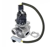 PIERBURG 7.24809.91.0 Valvola EGR per FORD,VOLVO