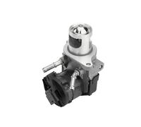 Valvola aria secondaria elettrico 710327D/1 BorgWarner (Wahler) per BMW 1 3 7 5