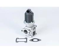 Valvola EGR WAHLER 710837D