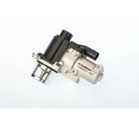 Valvola aria secondaria elettrico 710940D BorgWarner (Wahler) per VW JETTA III