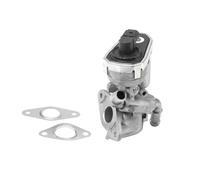 Valvola aria secondaria elettrico 710941R BorgWarner (Wahler) per FORD