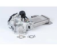 Valvola aria secondaria elettrico 710946R BorgWarner (Wahler) per VW MULTIVAN T6