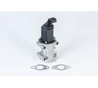 Valvola aria secondaria elettrico 710952R BorgWarner (Wahler) per FIAT OPEL SAAB