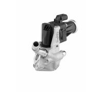 Valvola aria secondaria elettrico 710979D BorgWarner (Wahler) per PEUGEOT FORD
