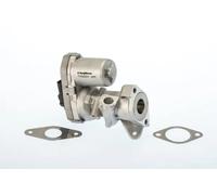 Valvola EGR WAHLER 711022D
