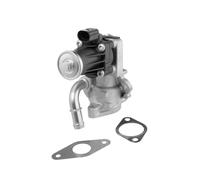 Valvola aria secondaria elettrico 712017D BorgWarner (Wahler) per FORD